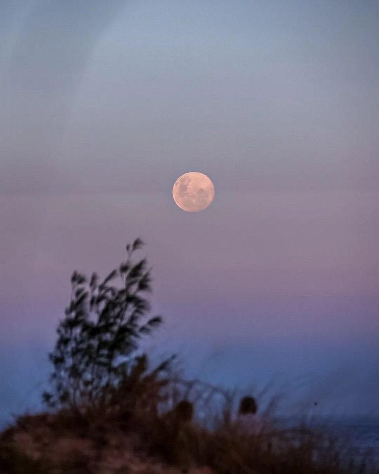 Sunclub: Charme e conforto a poucos passos do mar.