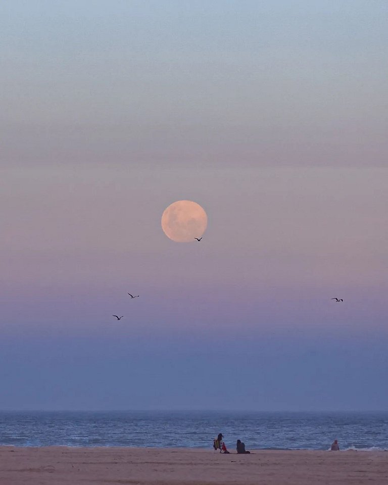 Sunclub: Charme e conforto a poucos passos do mar.