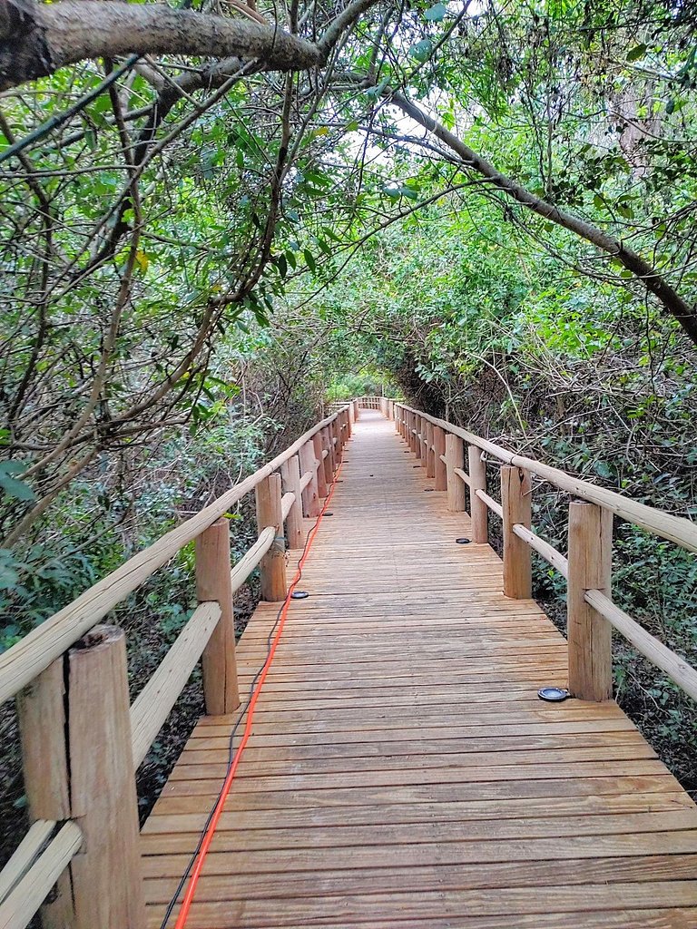 Essence Campeche: Charme e acesso VIP a praia.