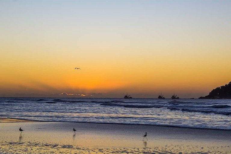 Essence Campeche: Charme e acesso VIP a praia.