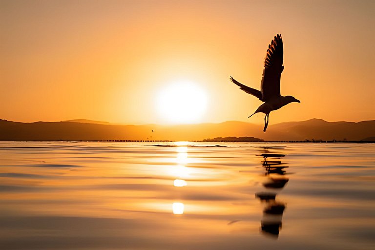 Vista Mar, Montanhas e Pôr do sol com Piscina