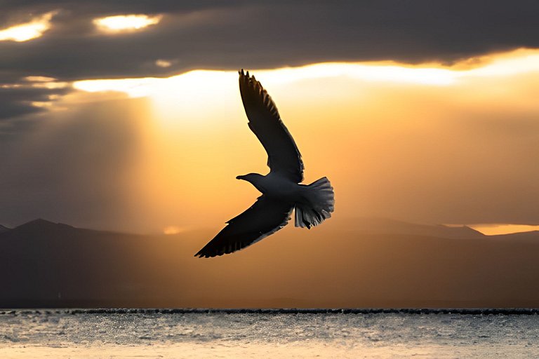 Vista Mar, Montanhas e Pôr do sol com Piscina